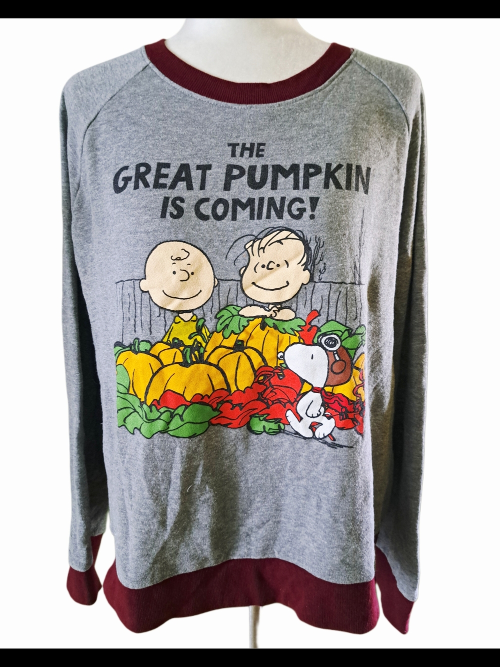 MODCLOTH SNOOPY PEANUTS TJE GREAT PUMPKIN SWEATSHIRT SZ XL - Picture 4 of 7